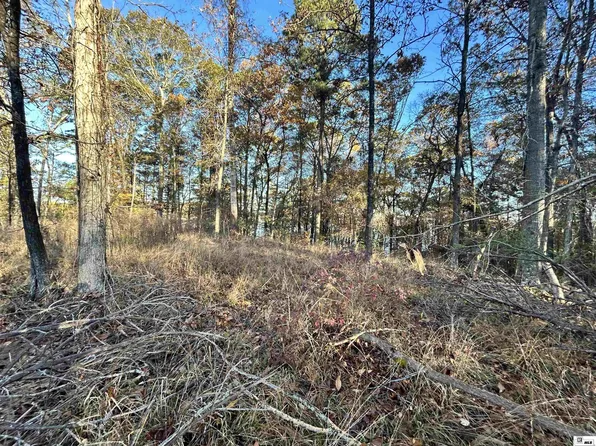 000 Scotts Hideaway Rd, Farmerville, LA 71241