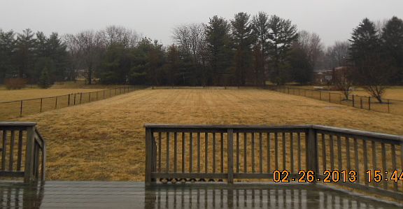 Deck/Back yard