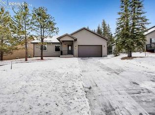 1113 Ptarmigan Dr, Woodland Park, CO 80863