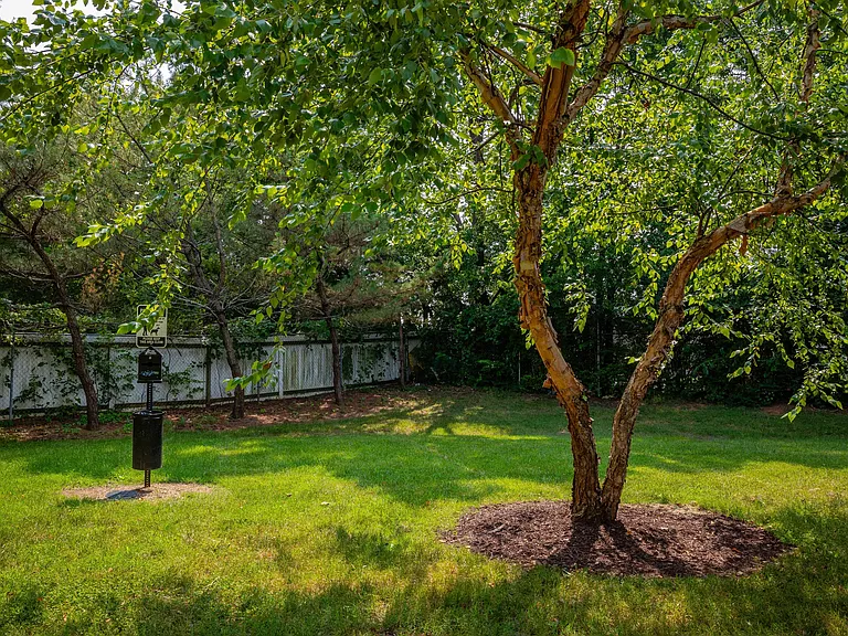 Green Space