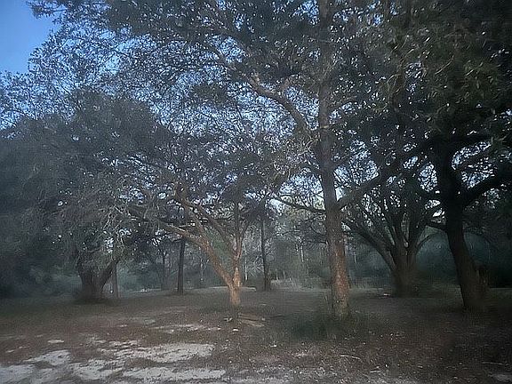 2nd image of 21011 River Rd