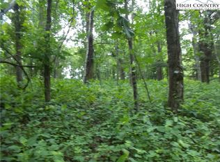 Mitchell Mountain Rd, Sparta, NC 28675