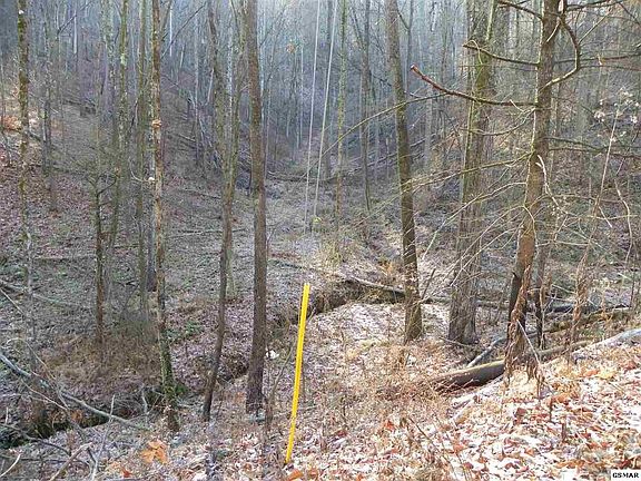 4th image of 259 Lones Branch Ln