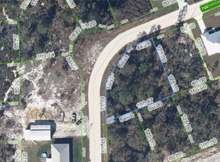 114 Hayes Ave NE, Lake Placid, FL 33852