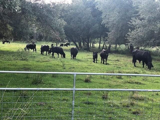 1st image of 4008 County Road 326