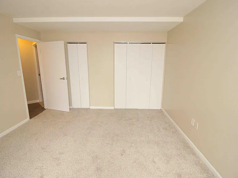 1001 W Jefferson Ave #300/29D — Photo 14