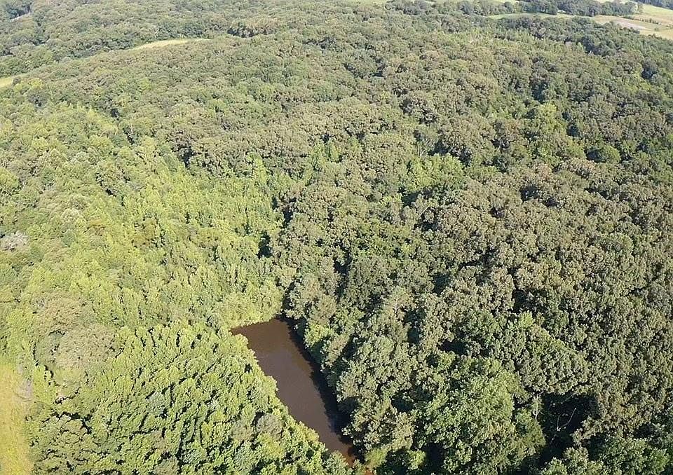 1st image of 0 Cay Lawrence Rd