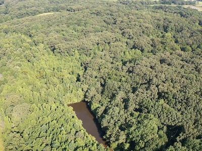 0 Cay Lawrence Rd, Buchanan, TN, 38222