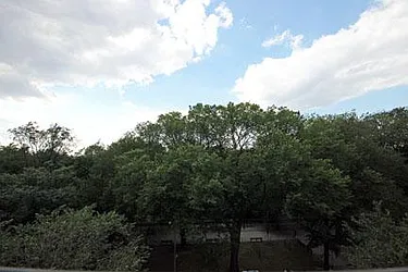 Rented by Ann Ferguson, LLC