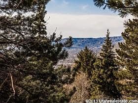 4th image of 4507 S Gilead Way