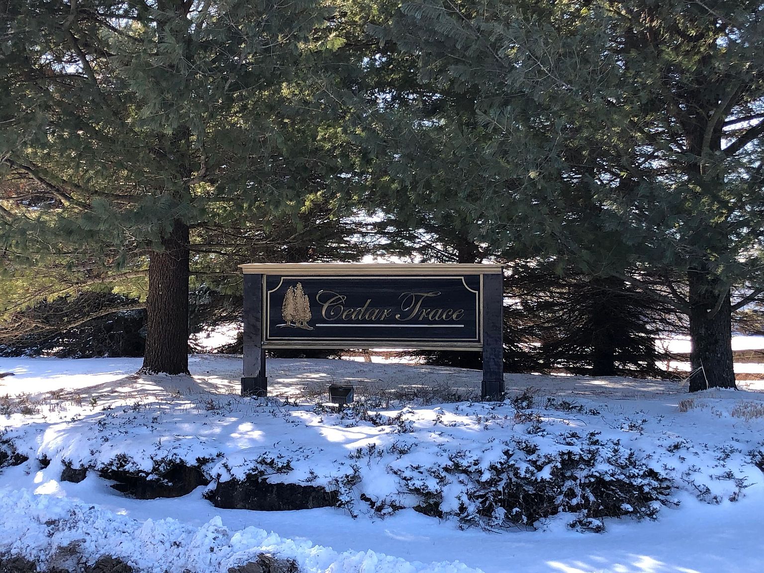 6186 Cedar Trce 44, Stanwood, MI 49346 Zillow