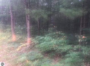 Wintergreen St, East tawas, MI 48730