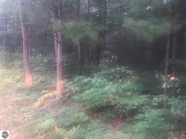 Wintergreen St, East Tawas, MI 48730