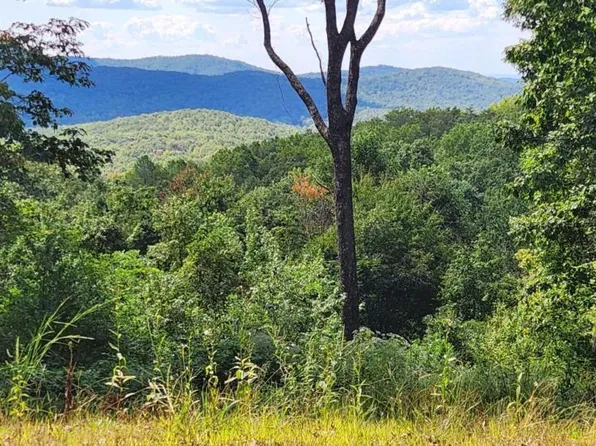 2234 S Piney Spur Rd, Ellijay, GA 30536