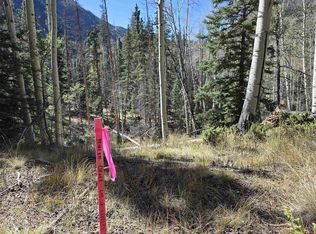 20 Alamosa St, Del Norte, CO 81132