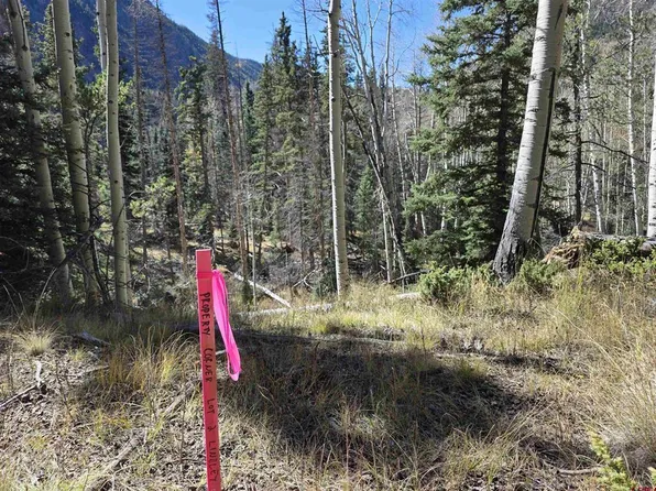 20 Alamosa Street, Del Norte, CO 81132