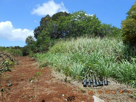 2nd image of 4075 Pai St Lot 50