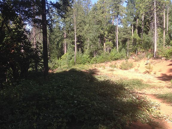 5th image of 2931 Hobby Horse Ln