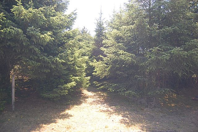 1st image of 325 Buckthorn Ct SE