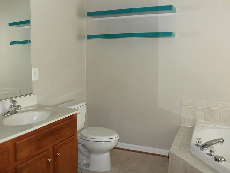 3404 Blue Mallard Lndg — Photo 9