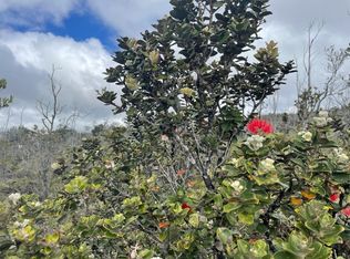 Lot 31, Ocean View, HI 96737