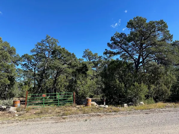 Ogaz Loop, Edgewood, NM 87015