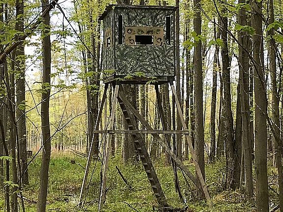 Five raised hunting towers.