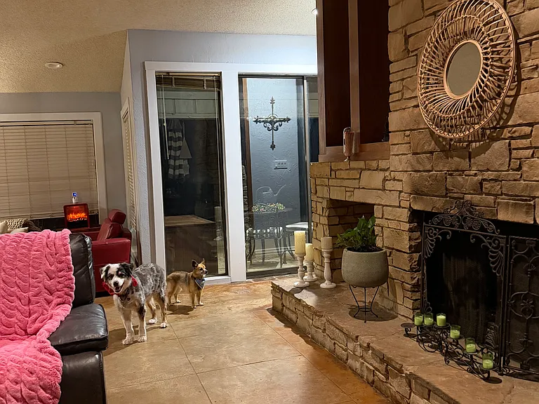 2307 Bluffview Ct — Photo 9