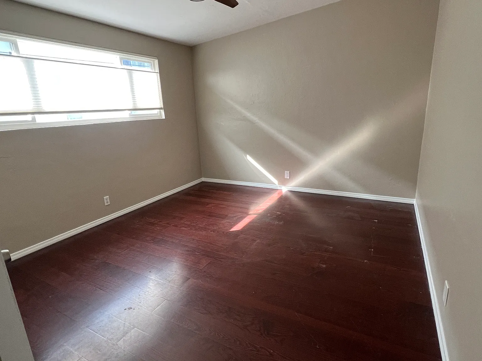 1329 Hemlock Ave — Photo 4