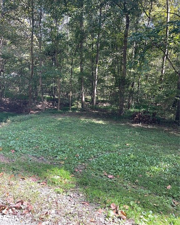 0 Swannie Coble Rd, Snow Camp, NC 27349 MLS 128666 Zillow