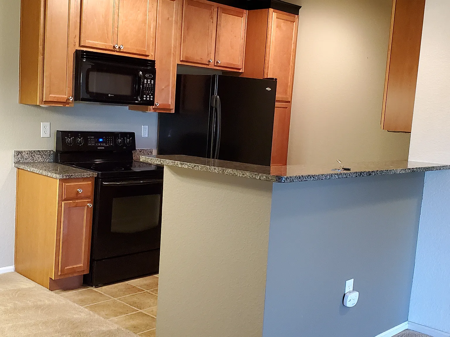 2 bed, 1180 sqft, $1,900 — Photo 4