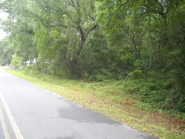 Lot 15 NW 173rd Pl, Fanning Springs, FL 32694