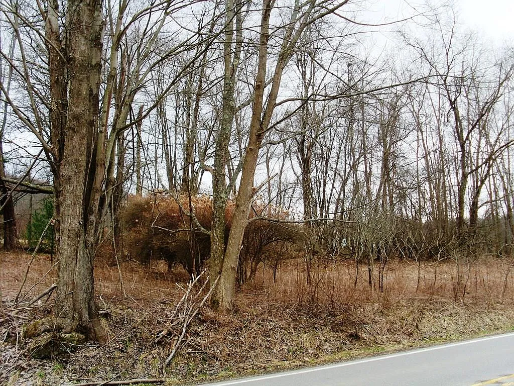 0 State Rte #62 photo 1