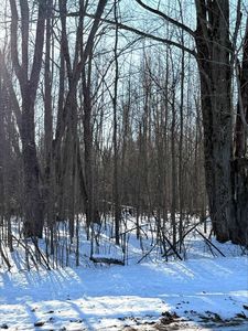 5.7 Acres FOREST ROAD, Kronenwetter, WI, 54455