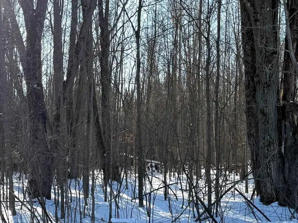 5.7 Acres FOREST ROAD, Kronenwetter, WI 54455