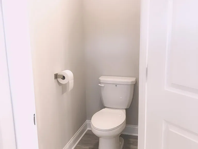 Master toilet