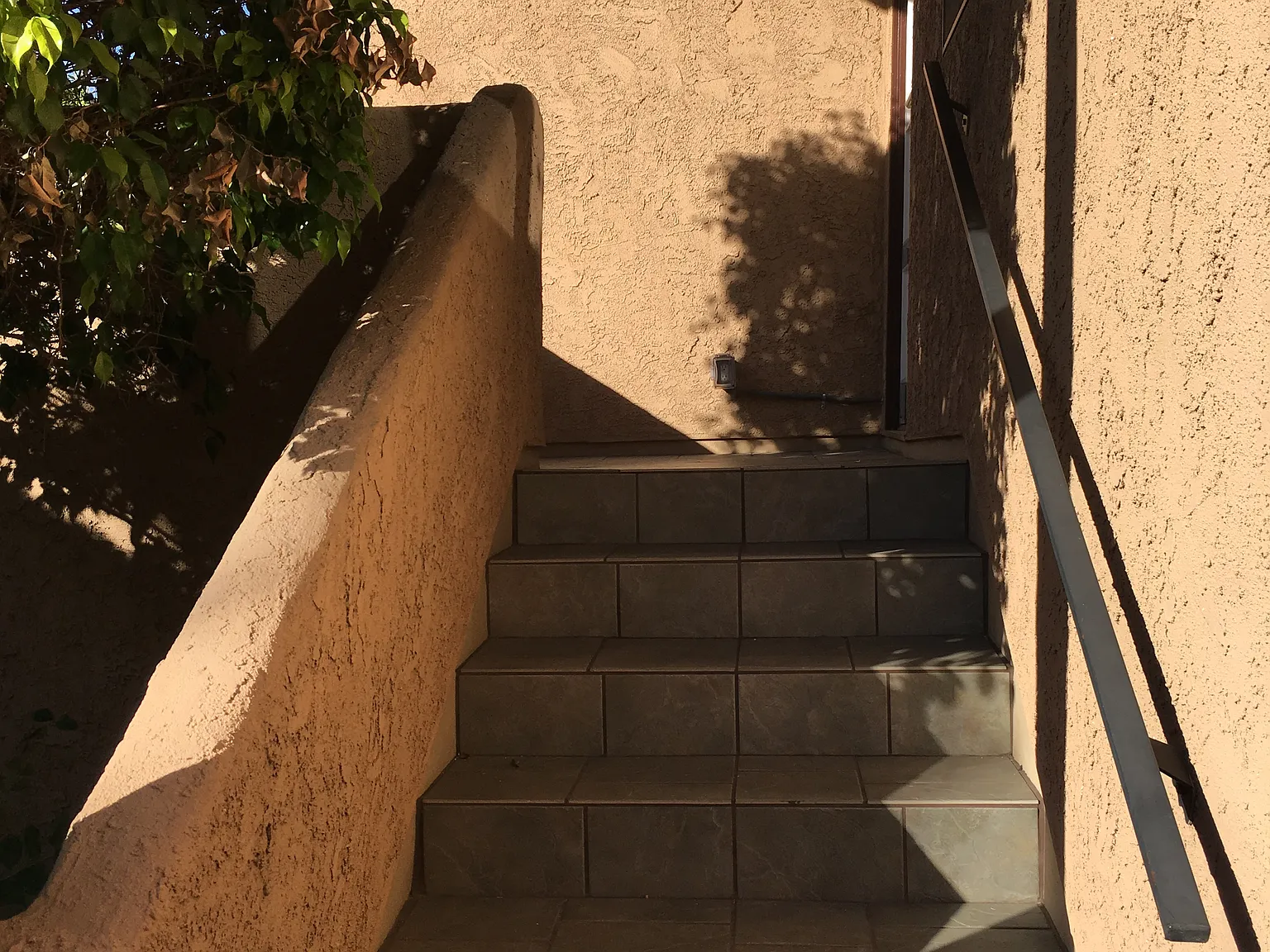 2 bed, 2.5 bath, 1303 sqft, $3,800 — Photo 4