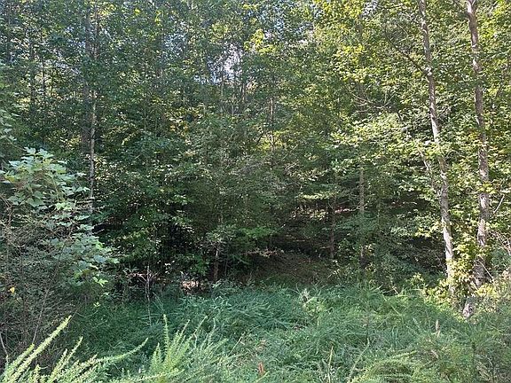 2nd image of 2 Cedar Ridge Rd