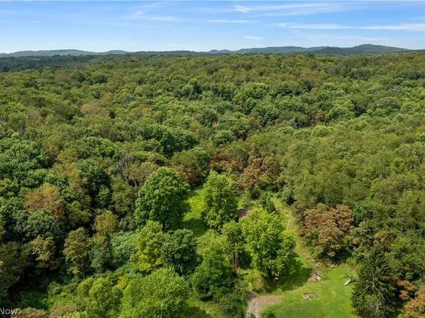 Buzzard Rd, Wellsville, OH 43968