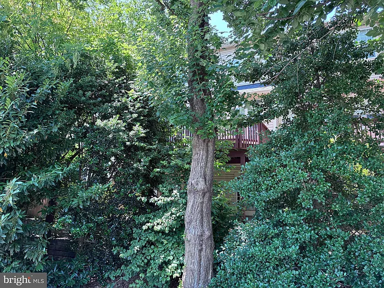 214 Halpine Walk Ct — Photo 4