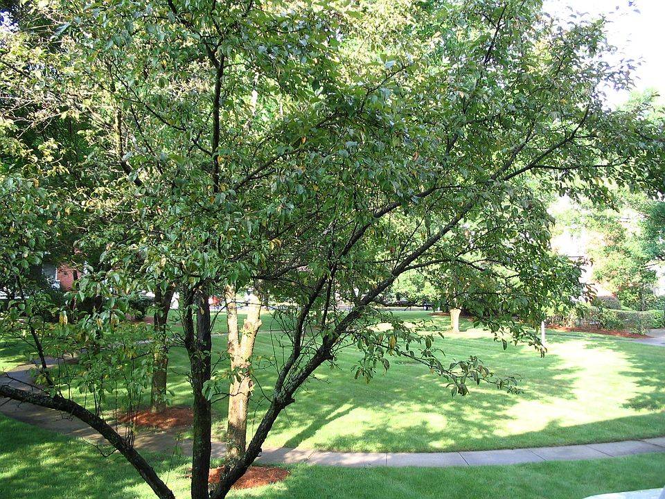 COURTYARD VIEW FROM MASTER BEDROOM
