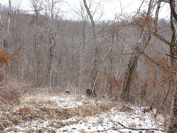 2nd image of 15050 County Road 9