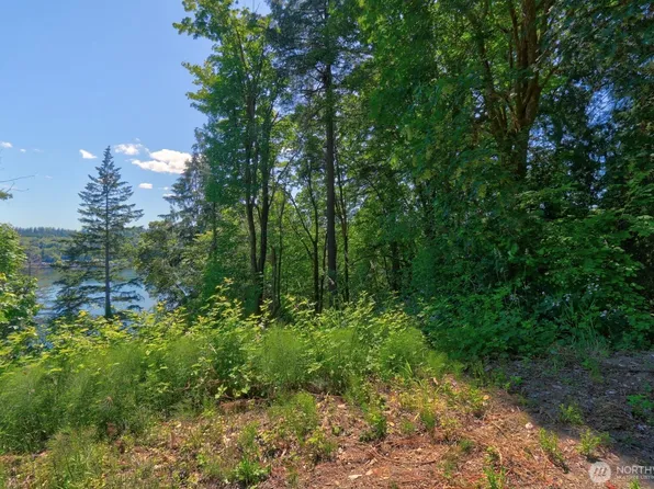 300 E Bridger Lane, Shelton, WA 98584