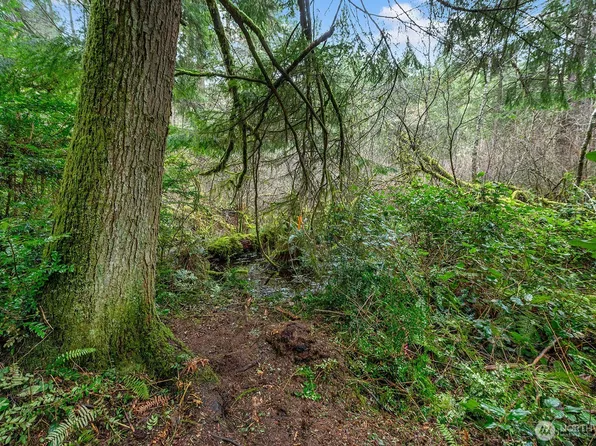 0 SW 220th Street, Vashon, WA 98070