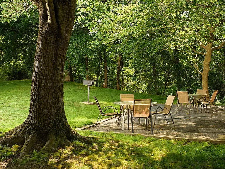 Picnic Area