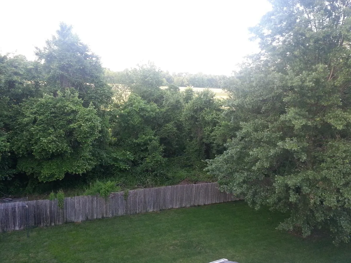 15802 Athens Court — Photo 4