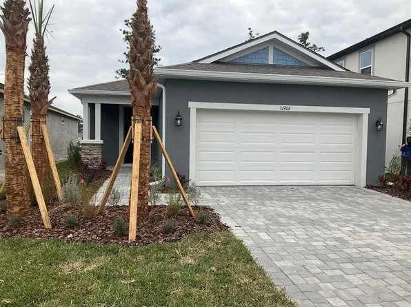 31906 Asbury Ave, Wesley Chapel, FL 33545