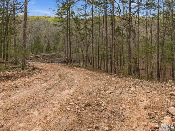 TRACT 5 W Highway 32, Licking, MO 65542