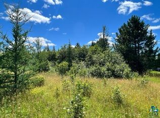 Comet Rd, Embarrass, MN 55732