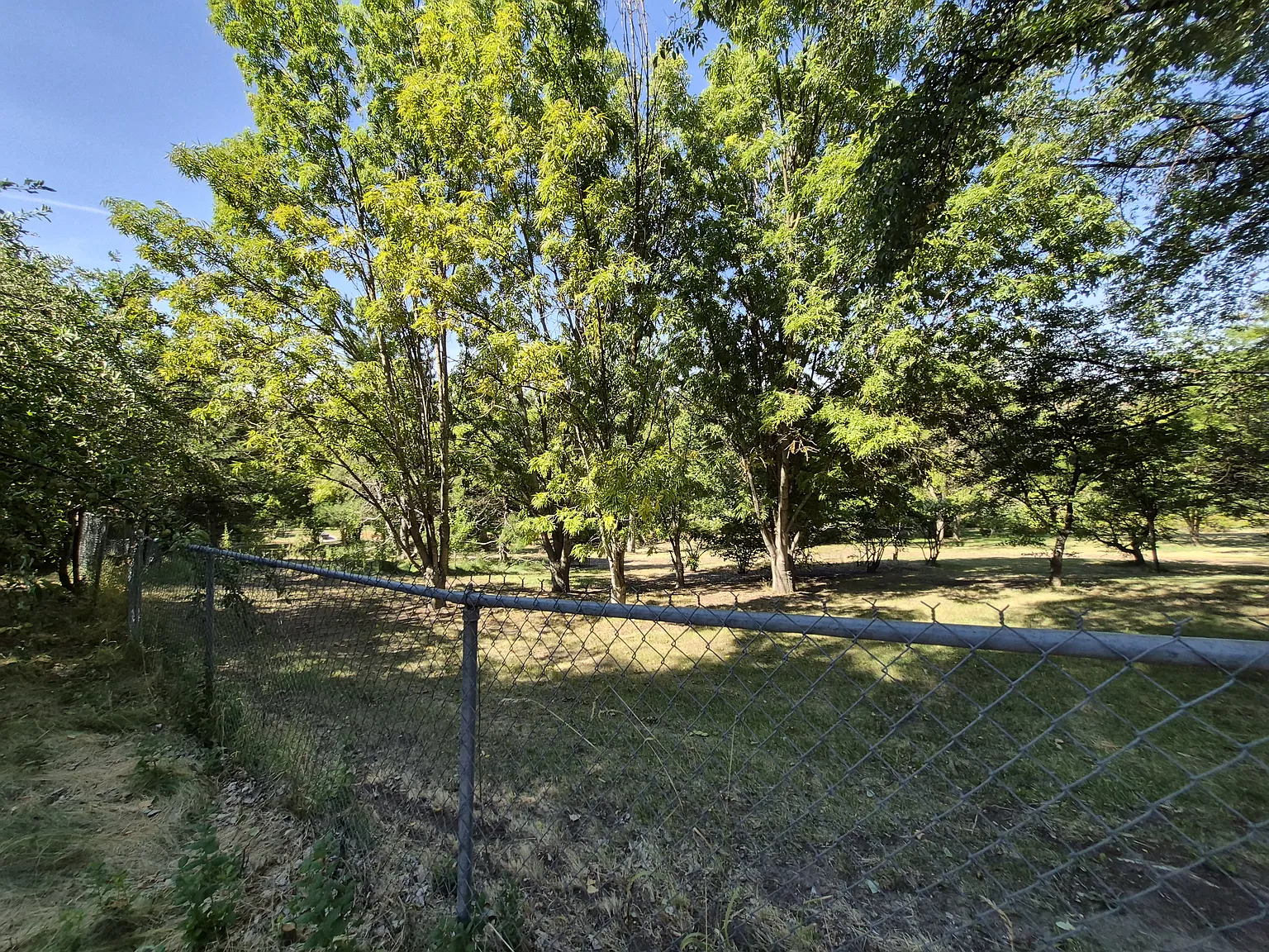 3 bed, 1690 sqft, $2,400 — Photo 3